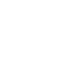 Brumea